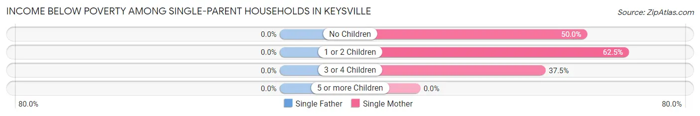 Income Below Poverty Among Single-Parent Households in Keysville