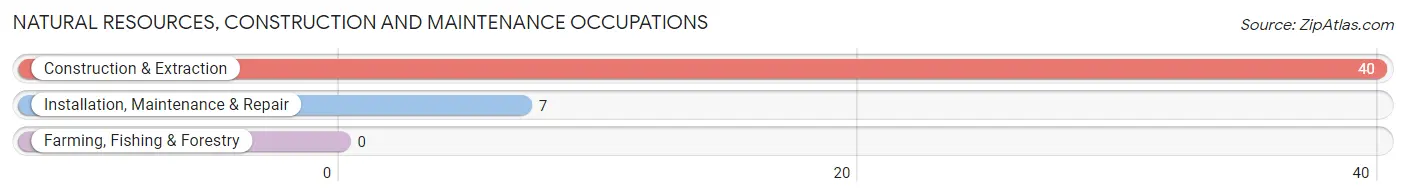 Natural Resources, Construction and Maintenance Occupations in Linville