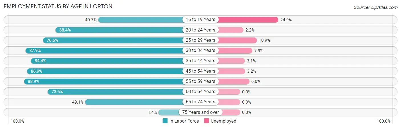 Employment Status by Age in Lorton