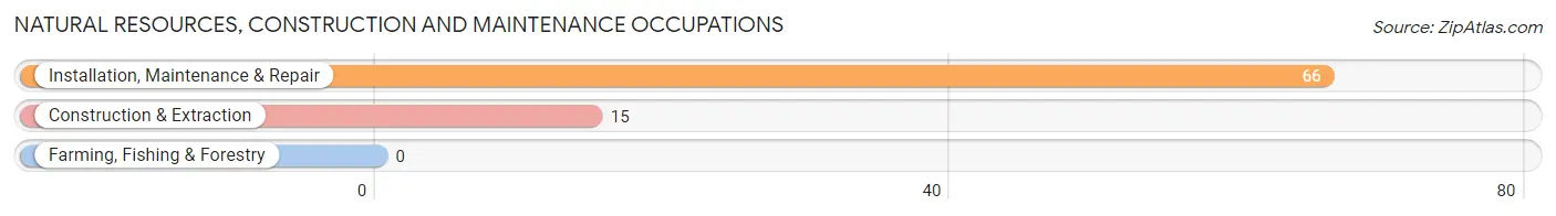 Natural Resources, Construction and Maintenance Occupations in Lovettsville