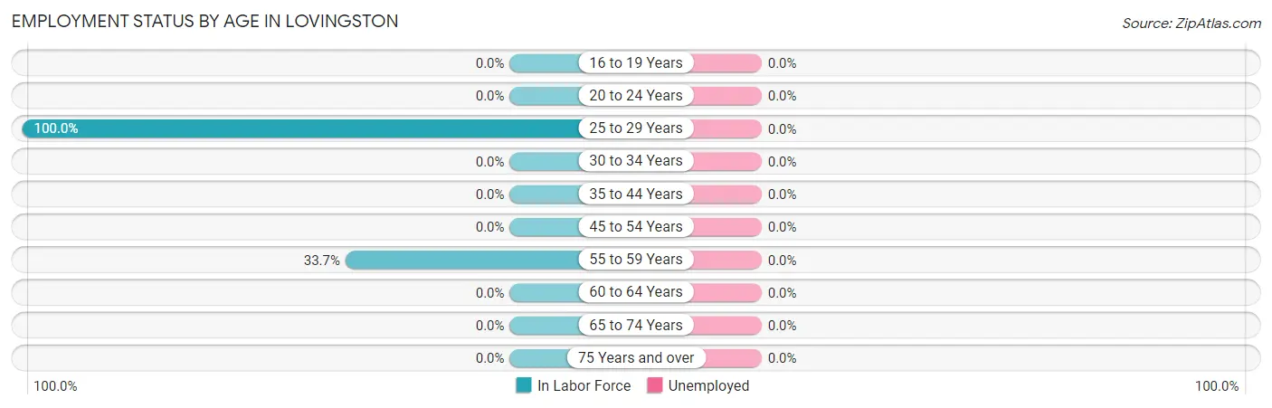 Employment Status by Age in Lovingston
