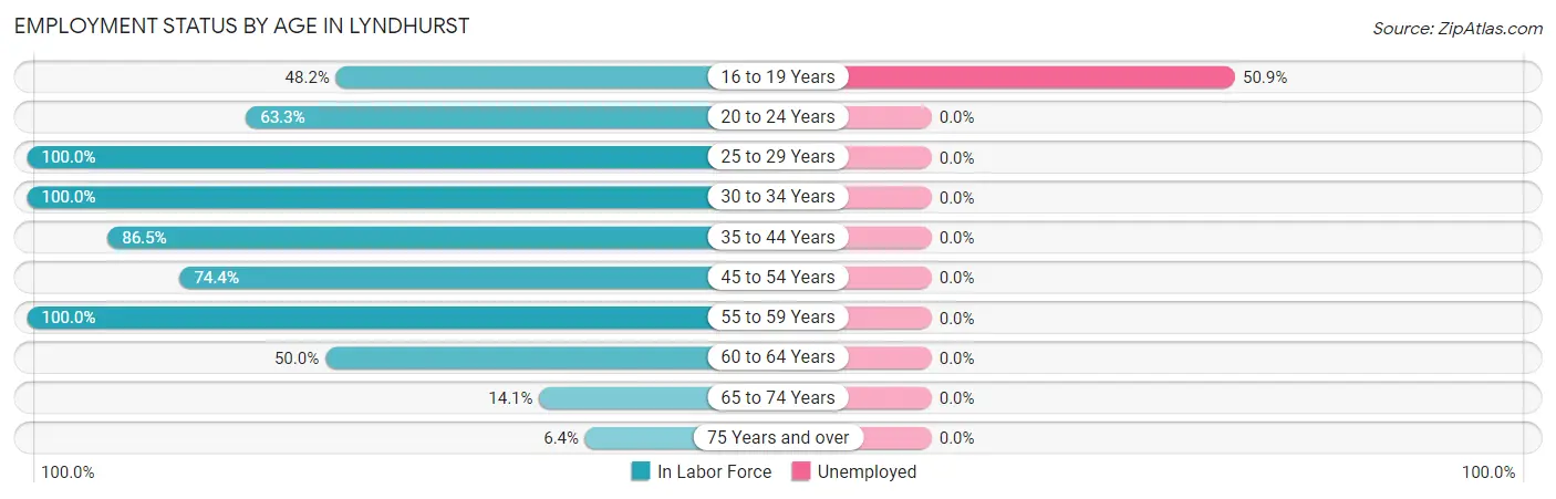 Employment Status by Age in Lyndhurst