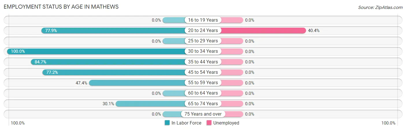 Employment Status by Age in Mathews