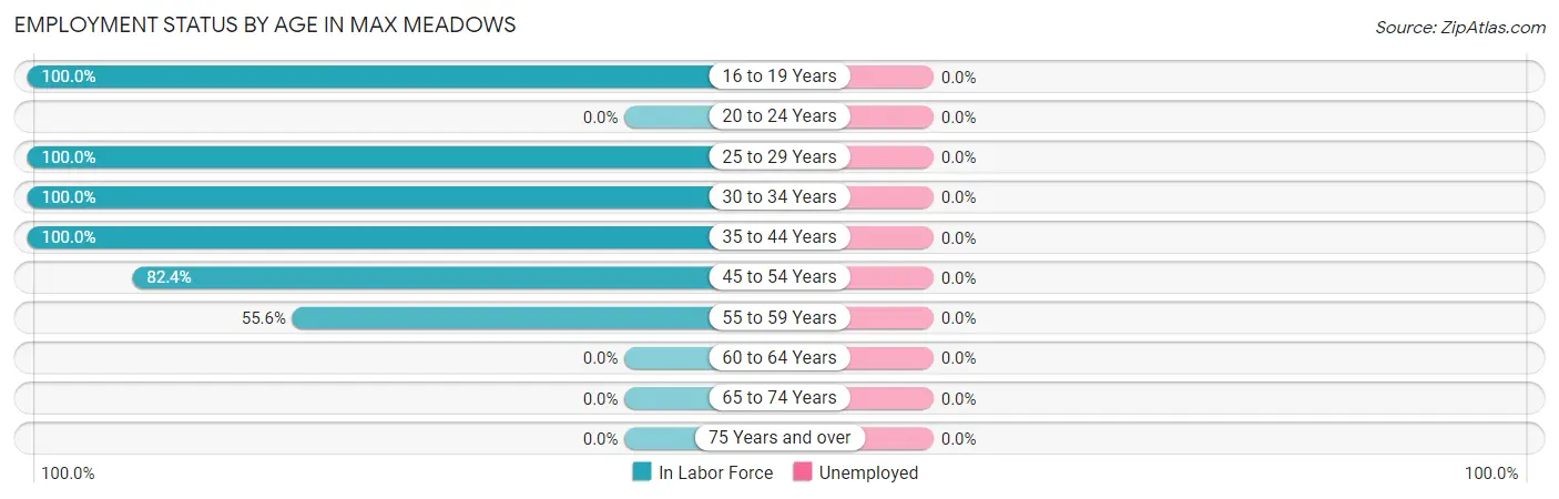 Employment Status by Age in Max Meadows