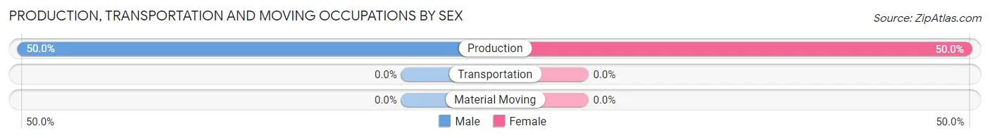Production, Transportation and Moving Occupations by Sex in Max Meadows