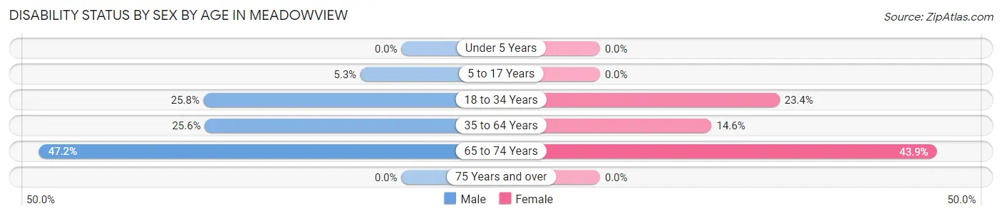 Disability Status by Sex by Age in Meadowview