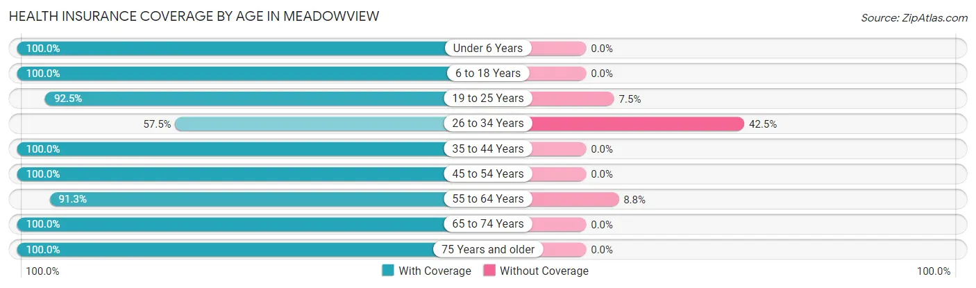 Health Insurance Coverage by Age in Meadowview