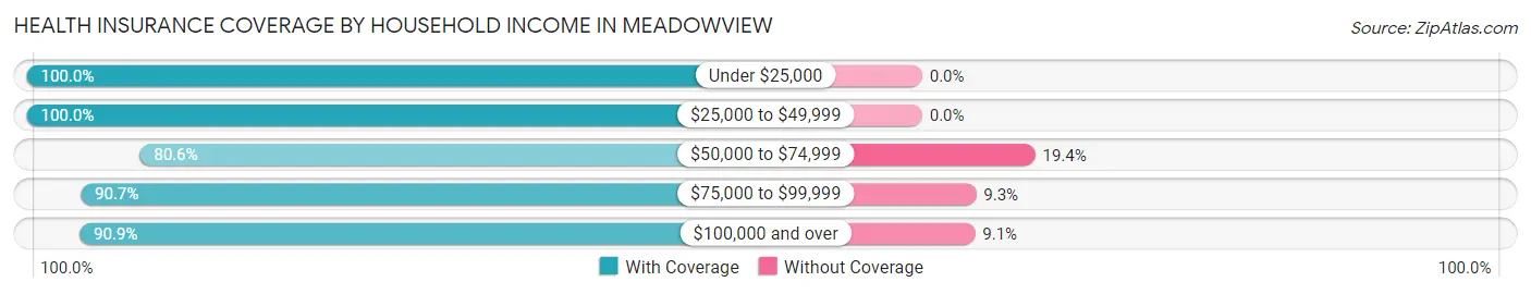 Health Insurance Coverage by Household Income in Meadowview