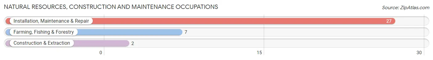 Natural Resources, Construction and Maintenance Occupations in Meadowview