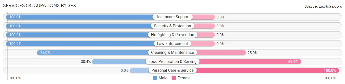 Services Occupations by Sex in Meadowview