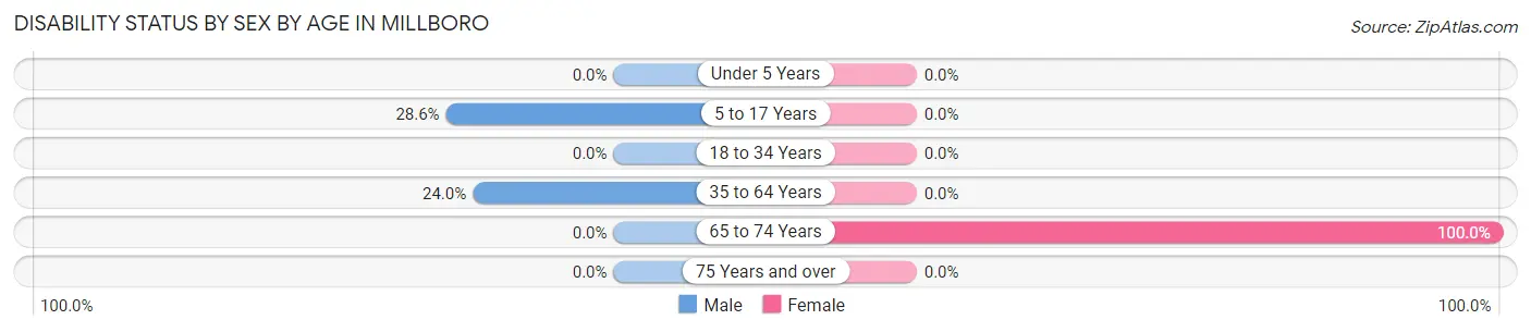 Disability Status by Sex by Age in Millboro