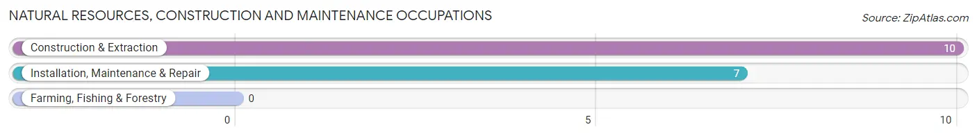 Natural Resources, Construction and Maintenance Occupations in Moneta