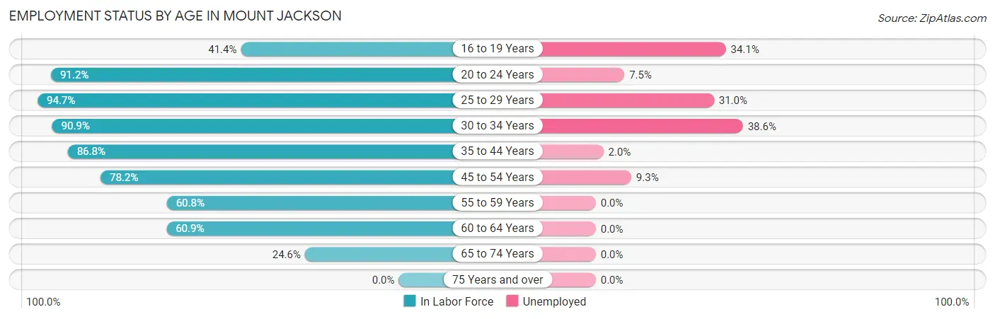 Employment Status by Age in Mount Jackson