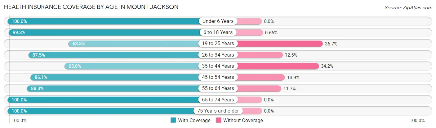 Health Insurance Coverage by Age in Mount Jackson