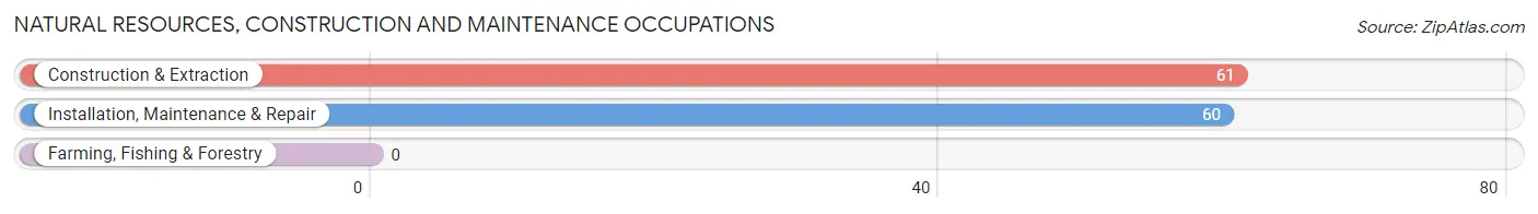 Natural Resources, Construction and Maintenance Occupations in Narrows