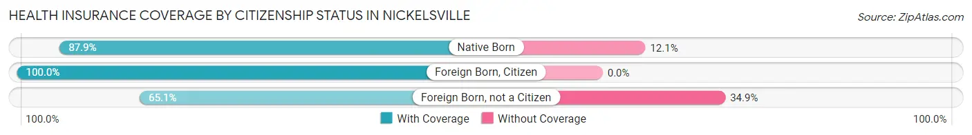 Health Insurance Coverage by Citizenship Status in Nickelsville