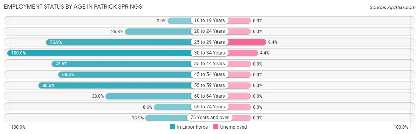 Employment Status by Age in Patrick Springs
