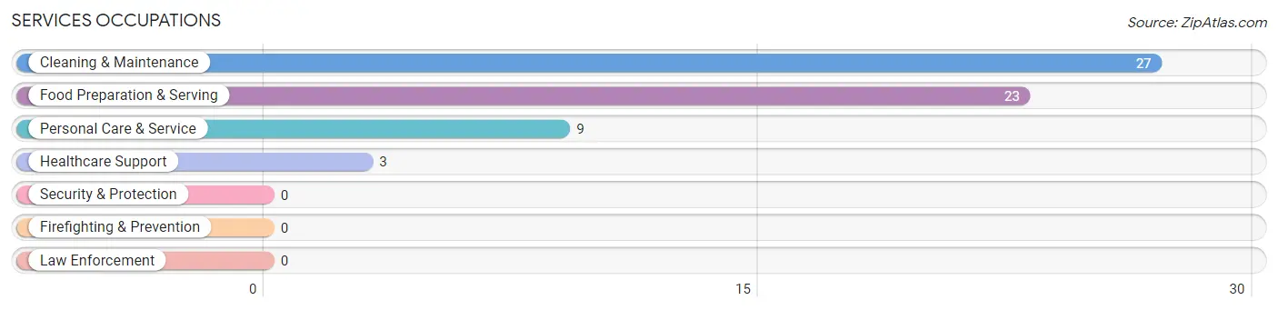 Services Occupations in Patrick Springs