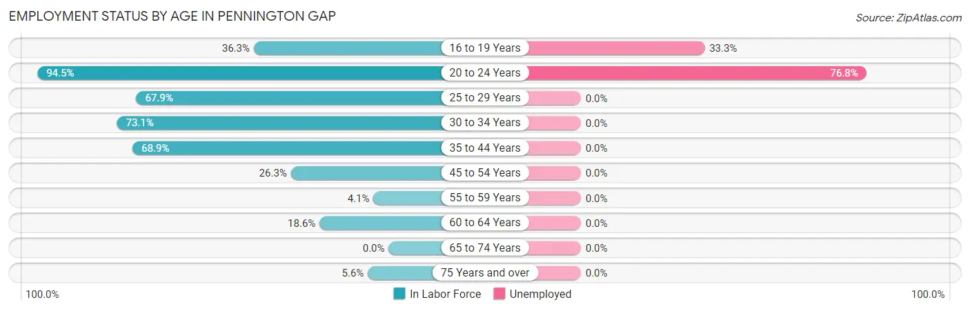 Employment Status by Age in Pennington Gap