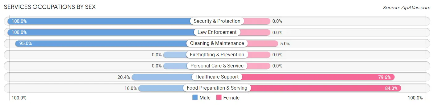 Services Occupations by Sex in Pennington Gap