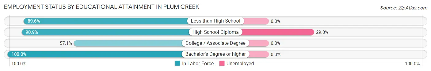 Employment Status by Educational Attainment in Plum Creek