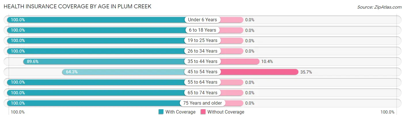 Health Insurance Coverage by Age in Plum Creek