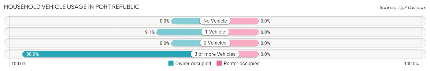 Household Vehicle Usage in Port Republic