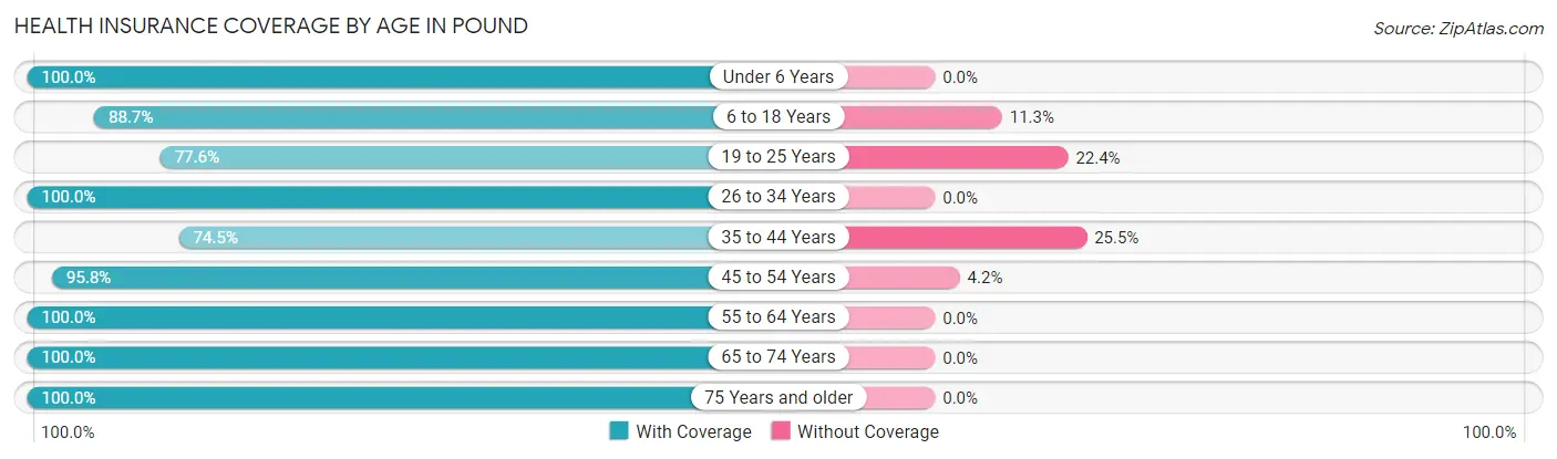 Health Insurance Coverage by Age in Pound