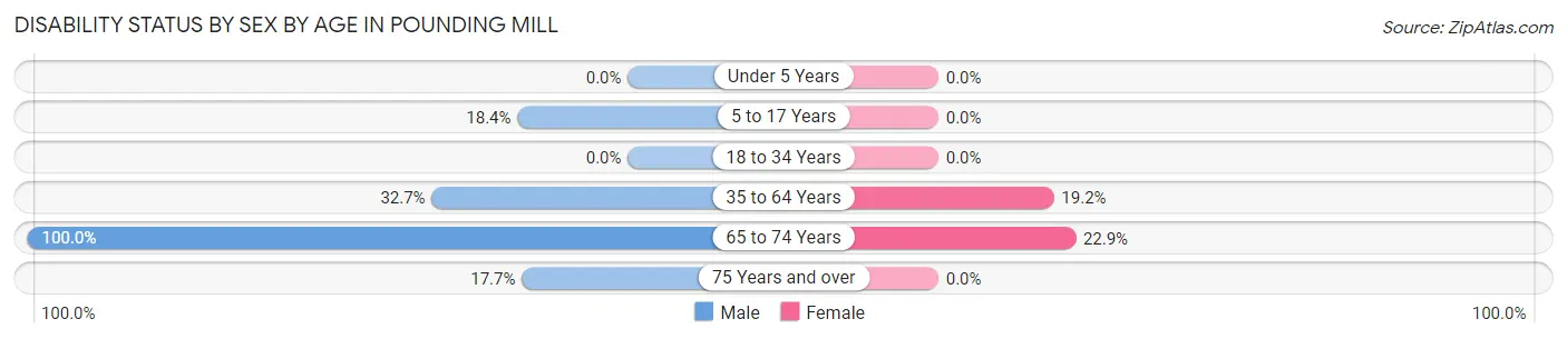 Disability Status by Sex by Age in Pounding Mill