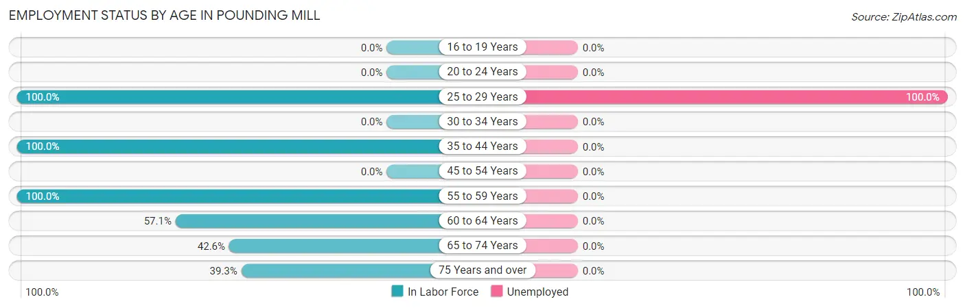 Employment Status by Age in Pounding Mill