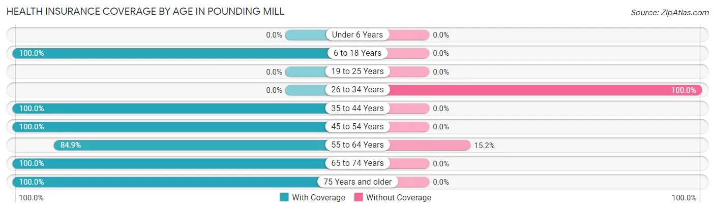Health Insurance Coverage by Age in Pounding Mill