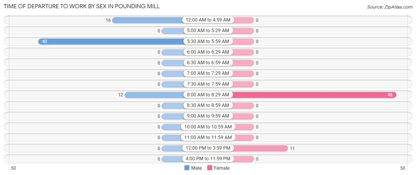 Time of Departure to Work by Sex in Pounding Mill