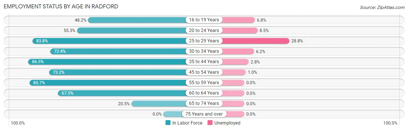 Employment Status by Age in Radford