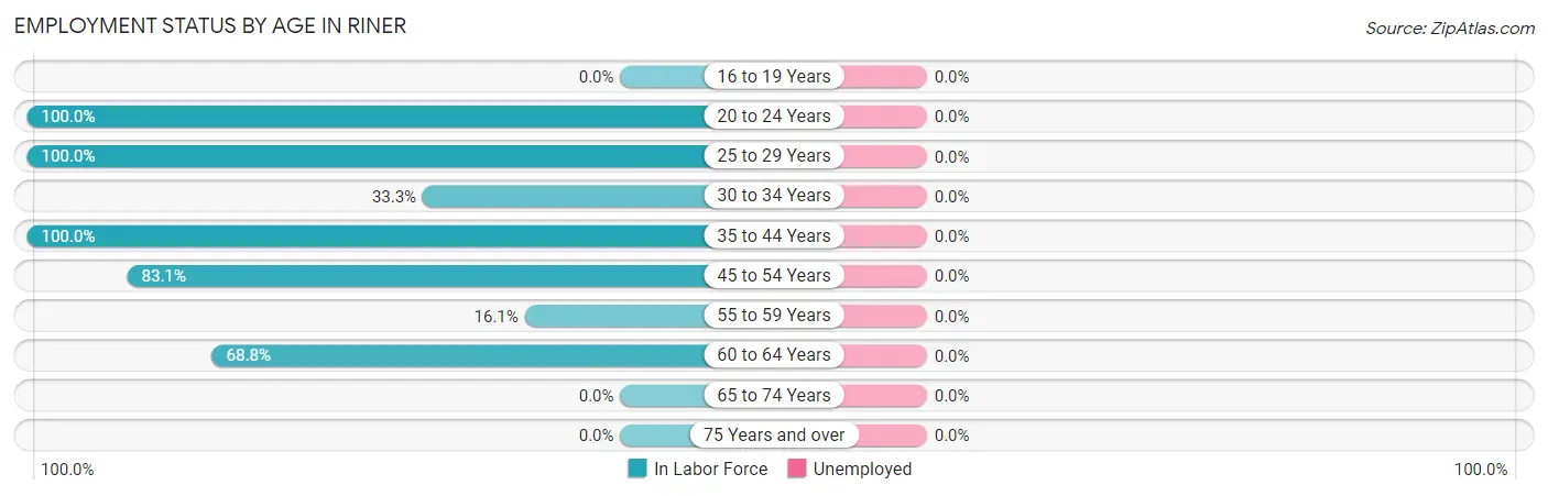 Employment Status by Age in Riner