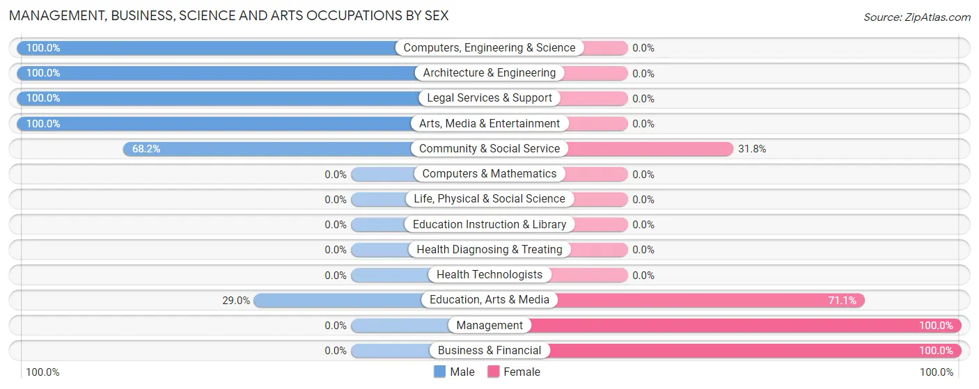 Management, Business, Science and Arts Occupations by Sex in Riner