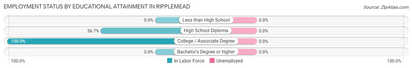 Employment Status by Educational Attainment in Ripplemead