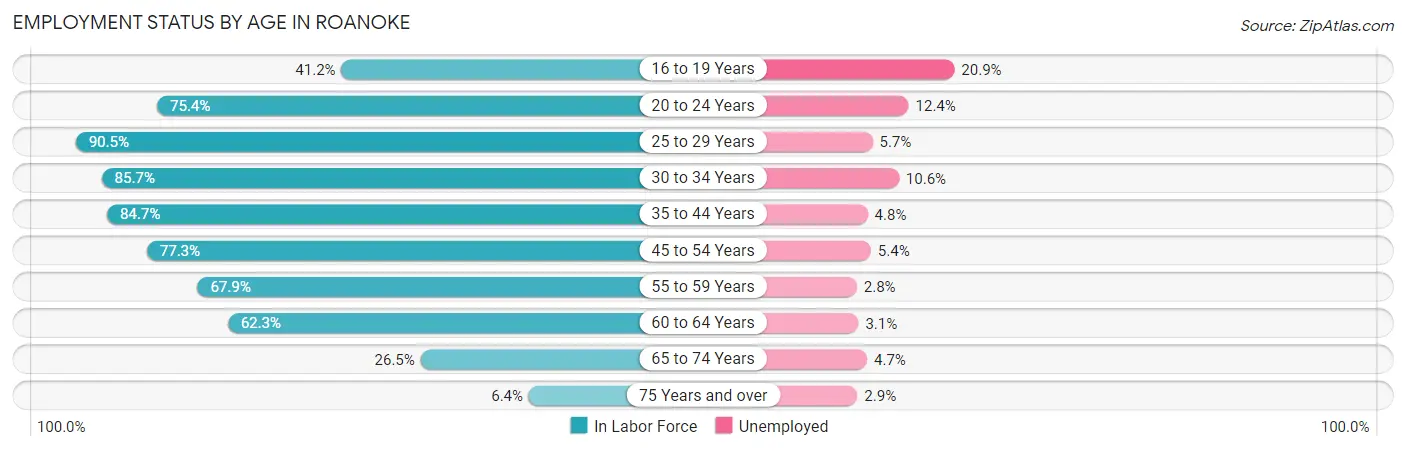 Employment Status by Age in Roanoke