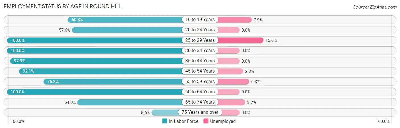 Employment Status by Age in Round Hill