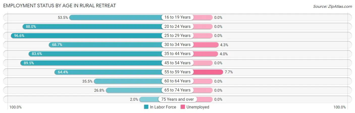 Employment Status by Age in Rural Retreat