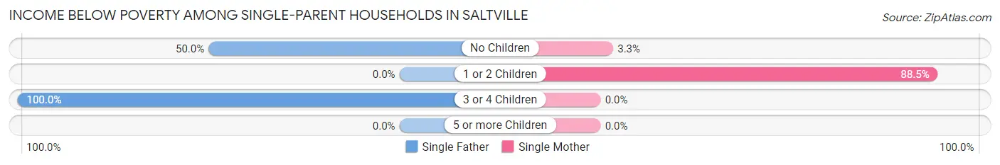 Income Below Poverty Among Single-Parent Households in Saltville