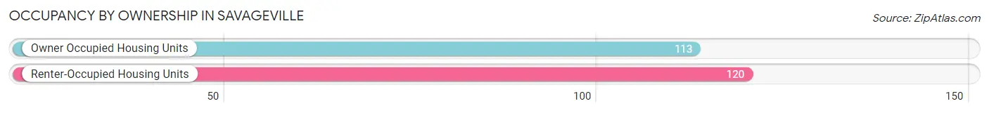 Occupancy by Ownership in Savageville