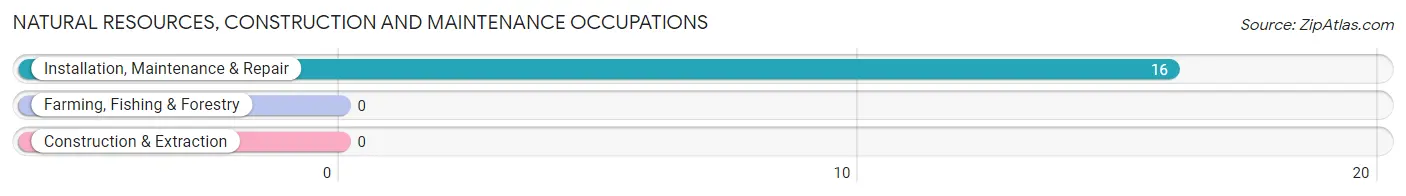 Natural Resources, Construction and Maintenance Occupations in Shawsville