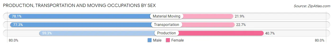 Production, Transportation and Moving Occupations by Sex in South Boston