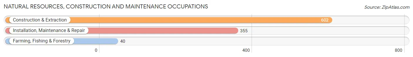 Natural Resources, Construction and Maintenance Occupations in Springfield