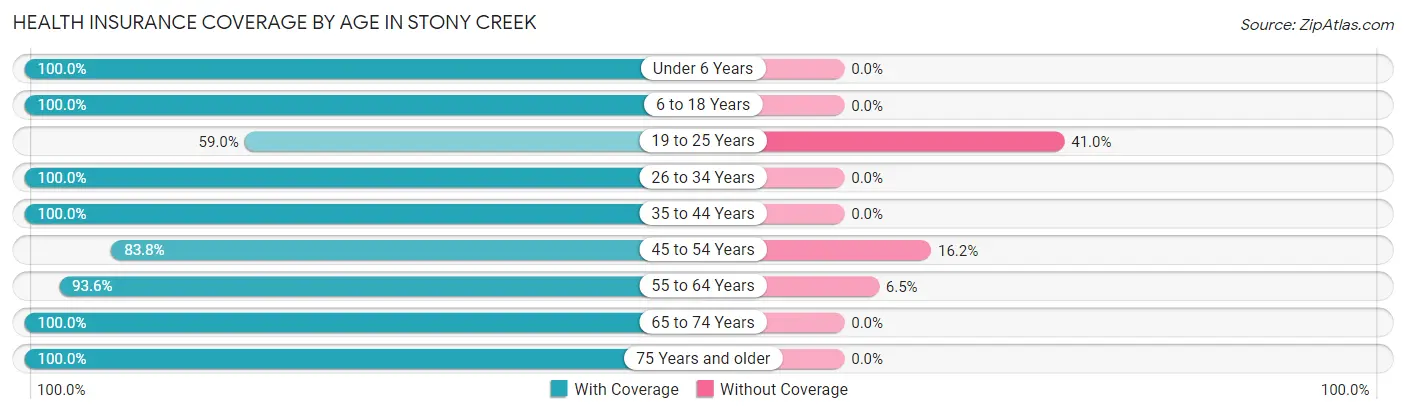 Health Insurance Coverage by Age in Stony Creek