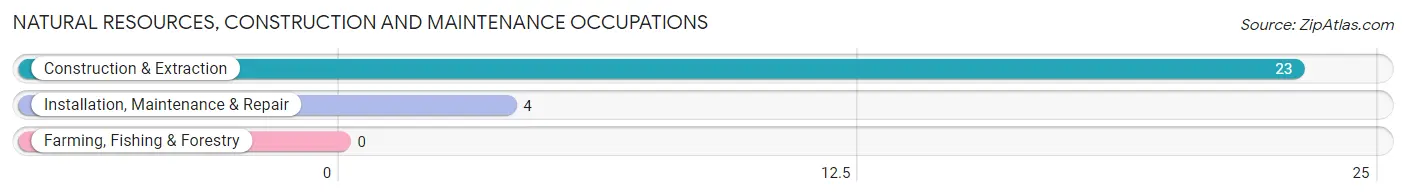 Natural Resources, Construction and Maintenance Occupations in Stony Creek