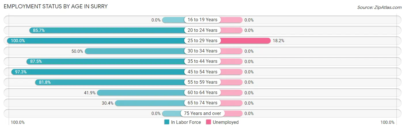 Employment Status by Age in Surry