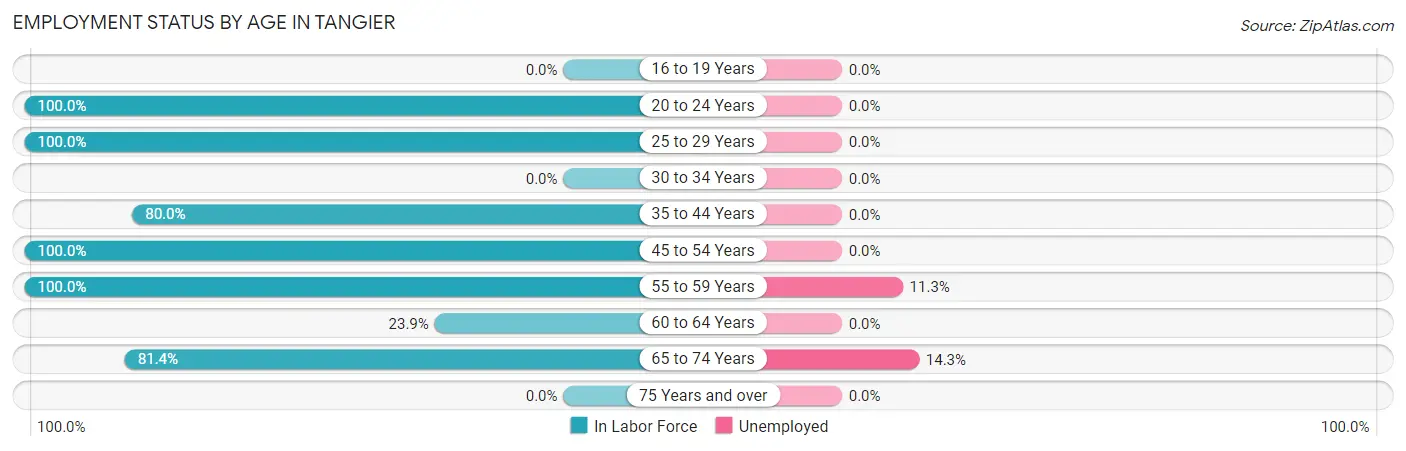 Employment Status by Age in Tangier