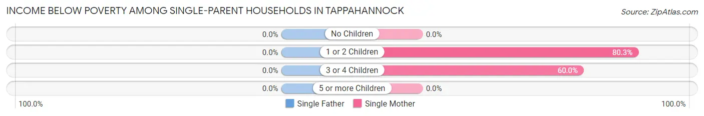 Income Below Poverty Among Single-Parent Households in Tappahannock