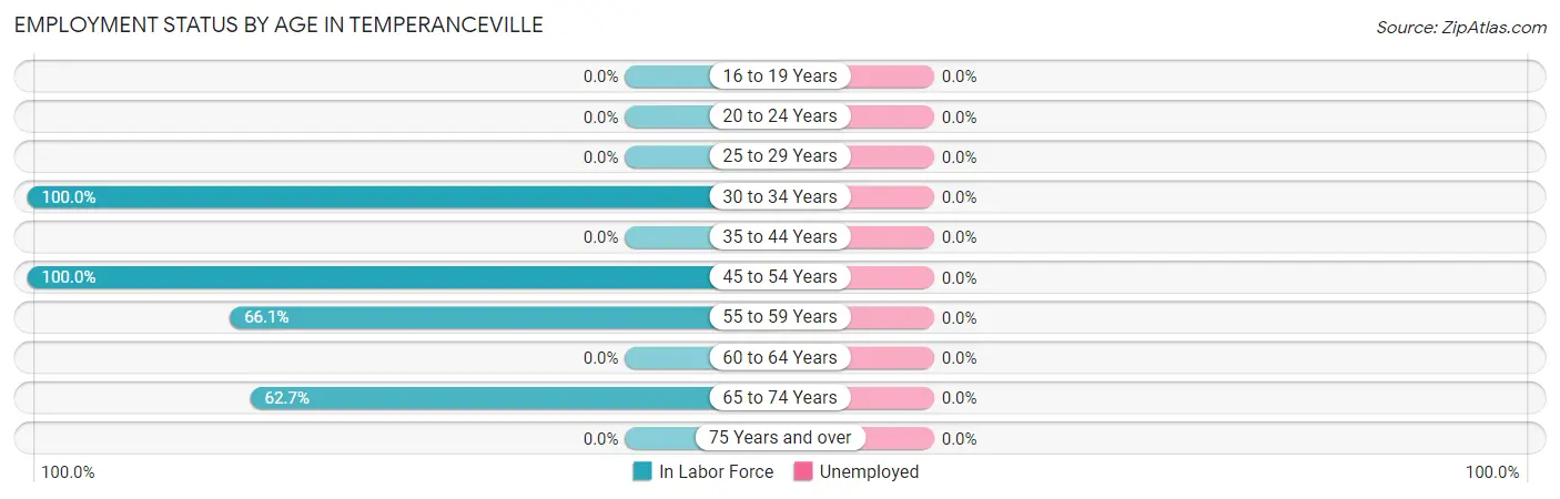 Employment Status by Age in Temperanceville